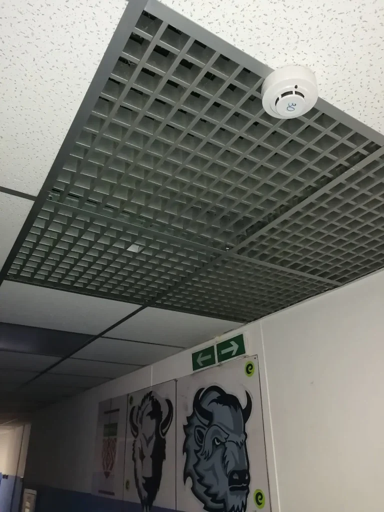 Потолок Грильято