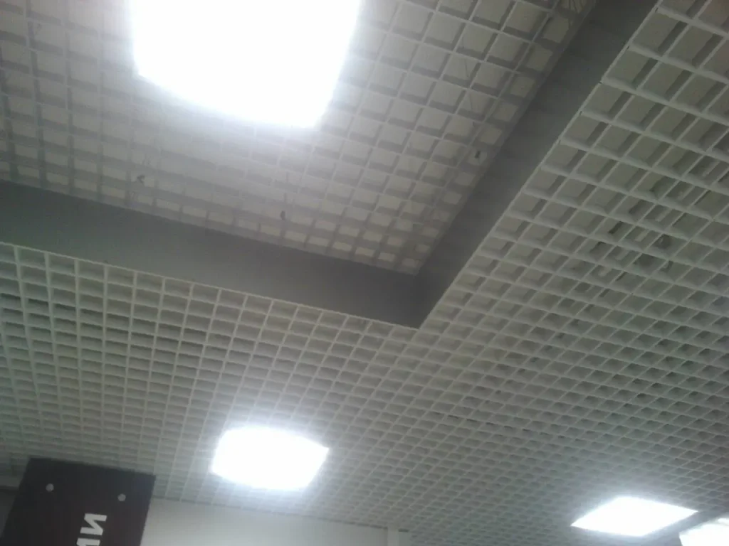 Потолок Грильято